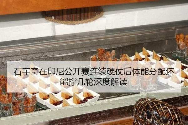 shi-yu-qi-zai-yin-ni-gong-kai-sai-lian-xu-ying-zhang-hou-ti-neng-fen-pei-hai-neng-cheng-ji-lun-shen-du-jie-du-2-498.jpg